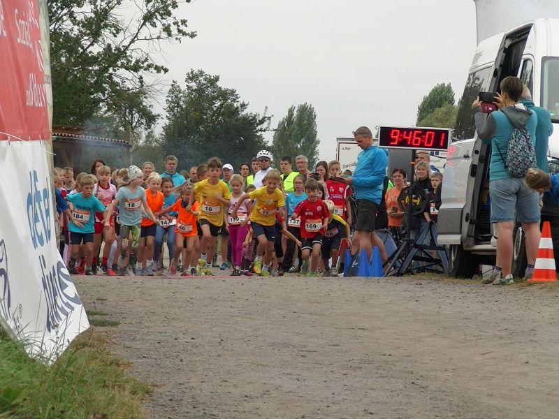 stadtwaldlauf_2024_788